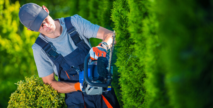 property maintenance worker cutting hedge